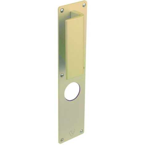 Poignée à tirage extérieure pour EXCLUSIVE A2P - ASSA ABLOY VACHETTE                          A2P      Champagne                                              300  70
