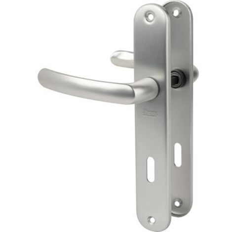 Poignée de porte intérieure - Budget - Vachette - Gris argent - Clé L - 195 mm