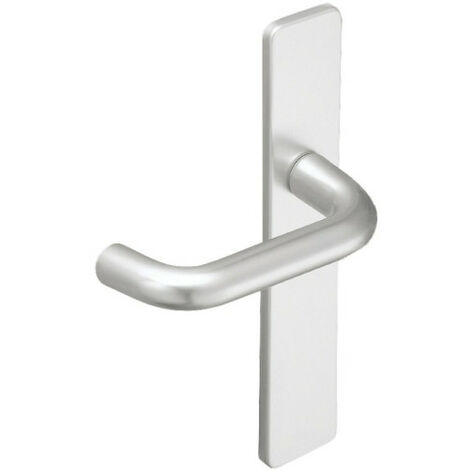 Ensemble de poignées de porte palière BERCY - ASSA ABLOY VACHETTE (1/5)