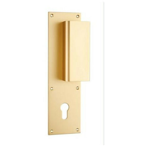 Poignée de porte palière aileron BASTILLE - ASSA ABLOY BEZAULT                                Champagne                                  A visser              70              Clé I
