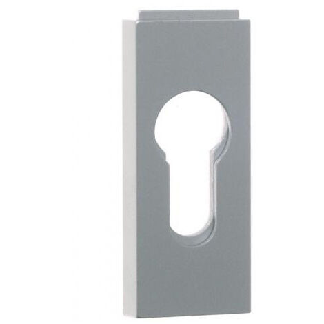 Rosace de propreté étroite profil européen 3006 - ARGENTA Argent 9 A visser 65 30 Clé I (1/2)
