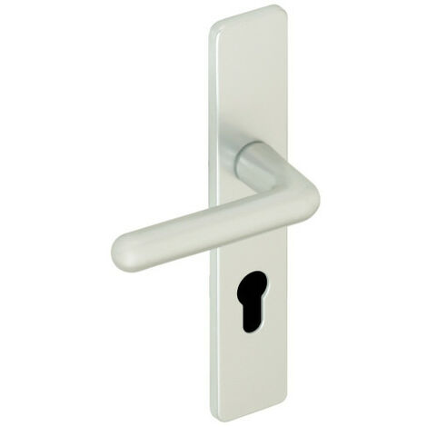 Assa Abloy – Poignée de porte d'entrée à cylindre – Plaque GOLF Clé I – Finition Champagne – Installation sur portes avec trou fraisé (1/2)