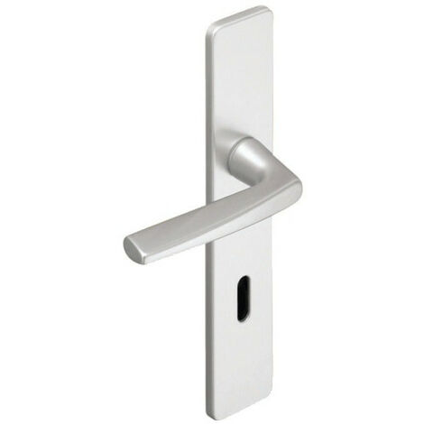 Ensemble de poignées de porte sur plaque palière RIVIERA - ASSA ABLOY BEZAULT (1/5)