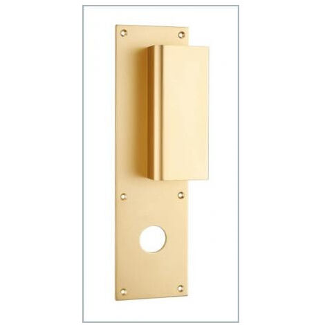 Poignée de porte palière aileron BASTILLE - ASSA ABLOY BEZAULT                                Champagne                                  A visser              70              Trou de Ø  34 mm
