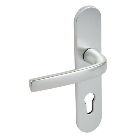 Ensemble de poignées de porte LOGIO - ASSA ABLOY VACHETTE 195 mm Anodisé SGN2