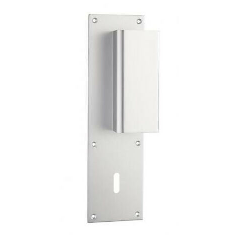 Poignée de porte palière aileron BASTILLE - ASSA ABLOY BEZAULT Argent A visser 70 Clé L