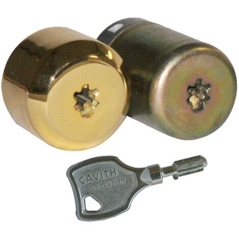 Cylindre de serrure CAVITH CAVERS A2P3 – Anti-perçage et anti-arrachement – 3 clés à pompes – Longueur 42mm intérieur 23,5mm