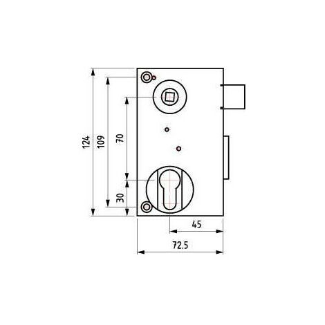 Serrure de portail verticale pour profilé européen  124 mml  Droite     Verticale  x