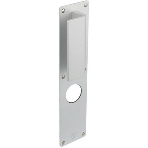 Poignée à tirage extérieure pour EXCLUSIVE A2P - ASSA ABLOY VACHETTE                          A2P      Argent                                              300  70