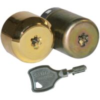 Cylindre de serrure CAVITH CAVERS A2P3 – Anti-perçage et anti-arrachement – 3 clés à pompes – Longueur 42mm intérieur 23,5mm