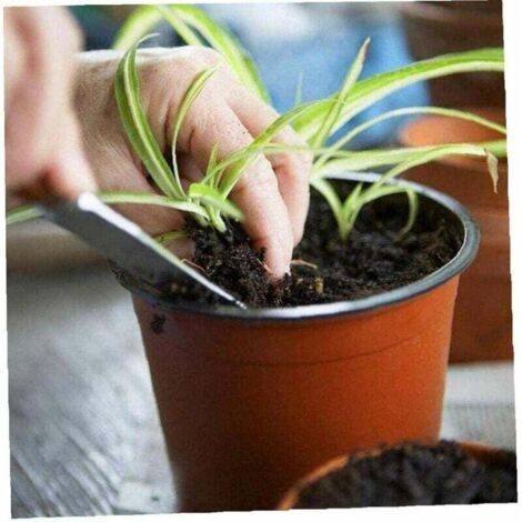 100 Pots De Semis Biodégradables En Fibre + étiquettes - Jardinage écologique Facile