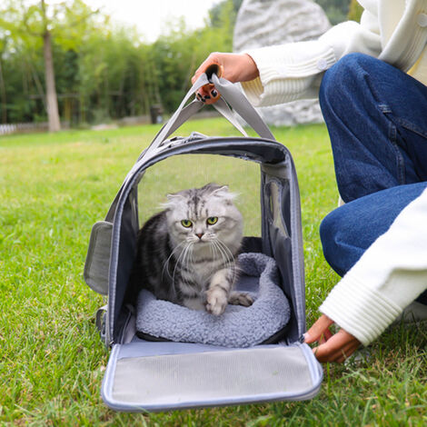 Caisse de transport pour chien et chat, caisse de transport pour chat respirante et pliable, caisse de transport pour chat
