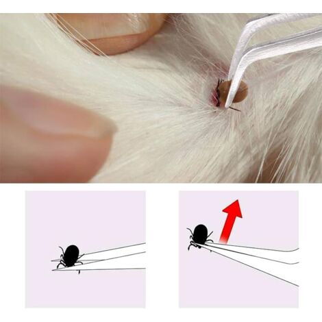 Pince à tiques 2 en 1 en acier inoxydable pour enlever les tiques sans problème pour chiens, chats