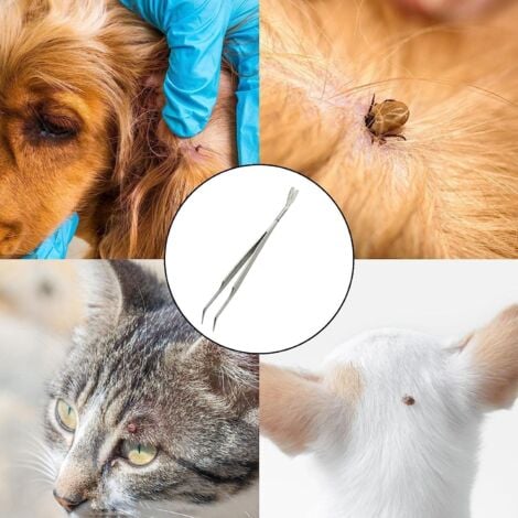 Pince à tiques 2 en 1 en acier inoxydable pour enlever les tiques sans problème pour chiens, chats