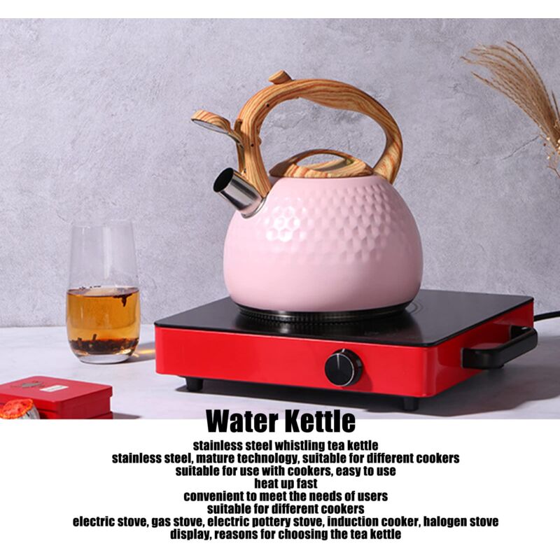 Bouilloire à Thé En Acier Inoxydable Pour Cuisinière, Cuisinière, Cuisinière, Bouilloires à Induction Pour L'eau Bouillante Avec Poignée Isolée, Finition Miroir (1,5 L