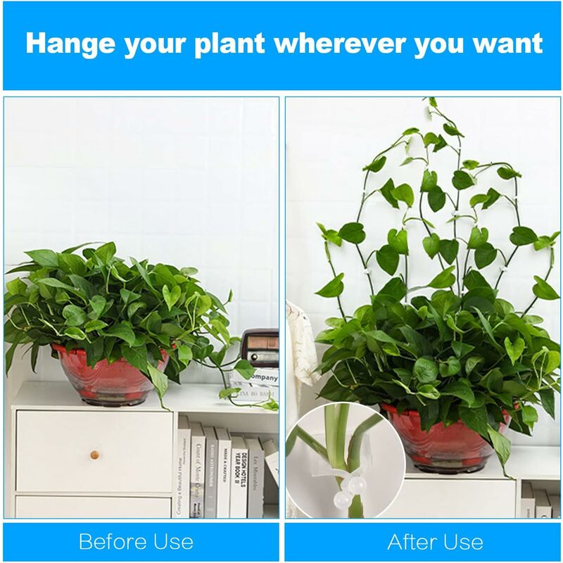 50 Clips Auto-adhésifs Pour Plantes Grimpantes - Fixation Murale Verte En ABS, 19x31mm - Idéal Rangement Câbles Ou Décoration