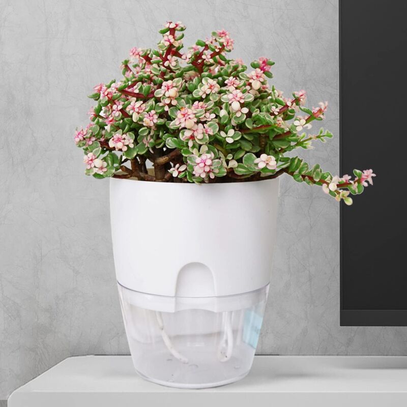 ORIMERC Lot De 6 Pots De Fleurs à Suspendre Verticaux à Arrosage Automatique - Support Mural Intérieur Extérieur