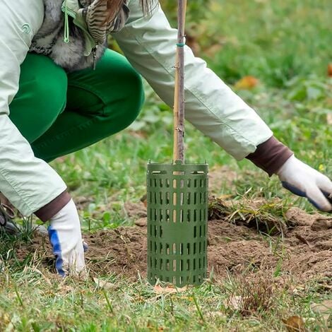 Protections De Tronc D'arbre CuisinSmart - Lot De 10 - Maille Extensible 38x25cm - Vert