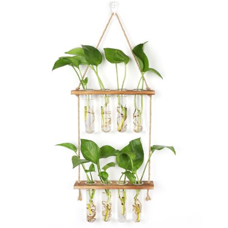 Station de Propagation avec Support en Bois Vase Mural,Verre Suspendu pour Plantes Hydroponiques (1/4)