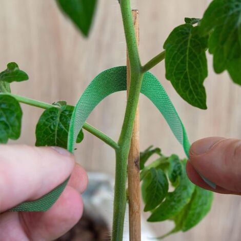 200 Attaches Plantes Jardin | Liens Réglables 13cm/23cm | Support Tiges Tomates/Fleurs | PE Durable