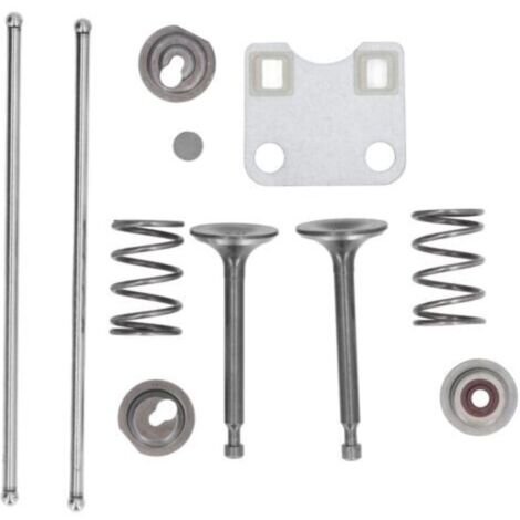 Kit de Protection pour Culasse Compatible avec Honda GX160 GX200 5.5HP 6.5HP Moteur Pièces de Rechange Incluant Ressorts de Soupapes-