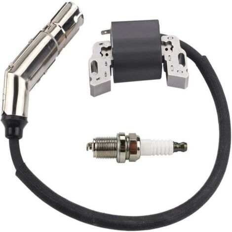 Bobine d'allumage haute tension compatible avec 715231 595304 795315 592841 avec bougie d'allumage