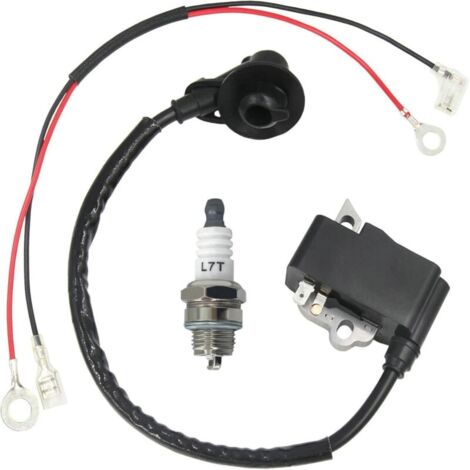 Bobine d'allumage haute tension compatible avec TS410 TS420 4238 400 1301 (1/4)