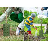 Tronc D'arbre, Paquet Protège-Arbres En Plastique Protecteurs