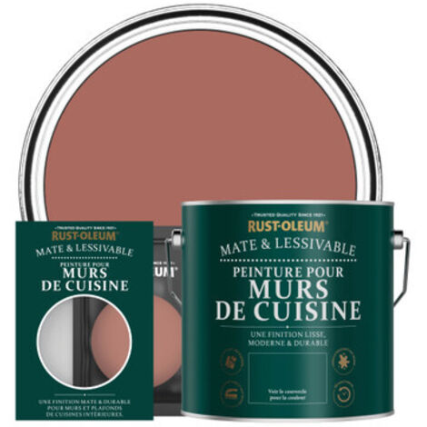 Peinture pour Murs de Cuisine, Finition Mate - Saumon (1/3)