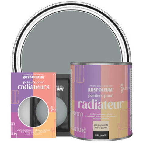 Peinture pour Radiateur, Finition Brillante - Ardoise (1/3)