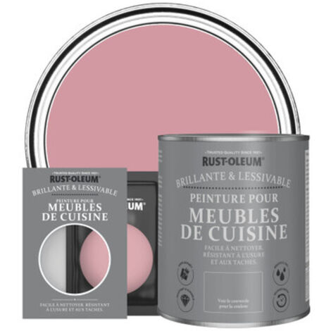 Peinture pour Meubles de Cuisine, Finition Brillante - Rose Antique (1/3)
