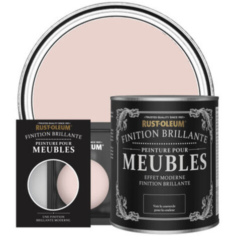 Peinture pour Meubles Brillante - Champagne Rosé (1/3)