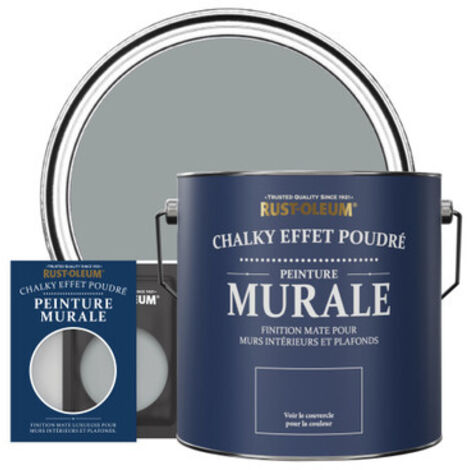 Peinture Murs & Plafonds - Anthracite Moyen (1/3)