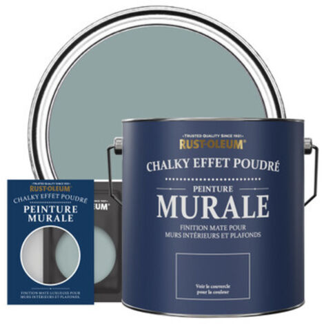 Peinture Murs & Plafonds - Bleu Gris (1/3)