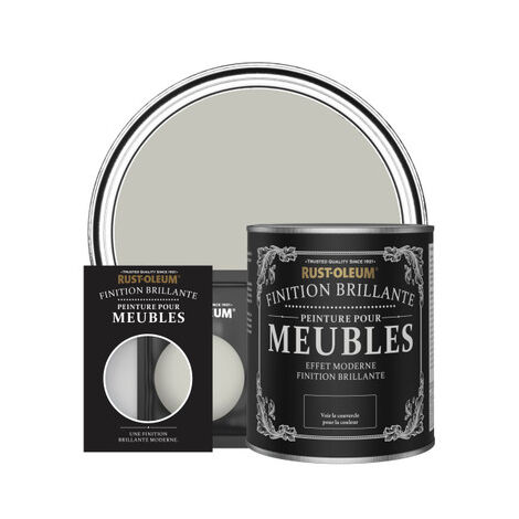 Peinture pour Meubles Brillante - Brume (1/3)