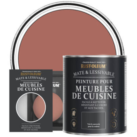 Peinture pour Meubles de Cuisine, Finition Mate - Saumon (1/3)