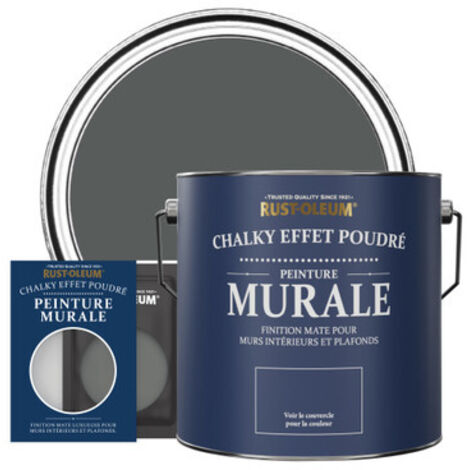 Peinture Murs & Plafonds - Graphite (1/3)