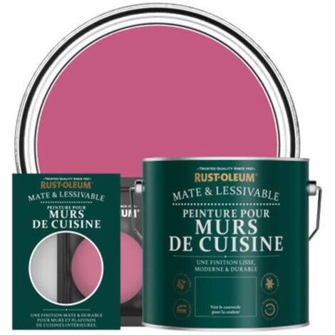 Peinture pour Murs de Cuisine, Finition Mate - Framboise (1/3)
