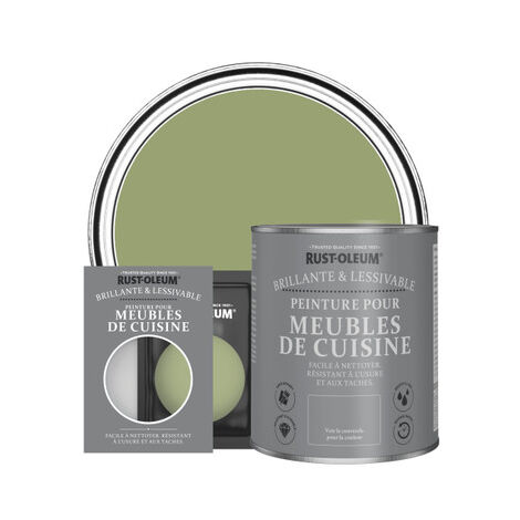 Peinture pour Meubles de Cuisine, Finition Brillante - Terrain Connu (1/3)