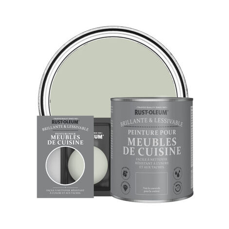 Peinture pour Meubles de Cuisine, Finition Brillante - Aloé Vera (1/3)