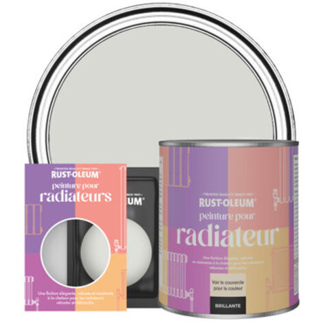 Peinture pour Radiateur, Finition Brillante - Gris d'Hiver (1/3)