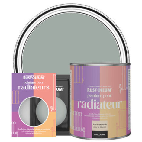 Peinture pour Radiateur, Finition Brillante - Gris Urbain (1/3)