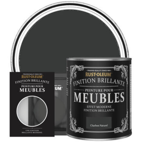 Peinture pour Meubles Brillante - Charbon Naturel (1/3)