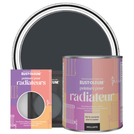 Peinture pour Radiateur, Finition Brillante - Anthracite (RAL 7016) (1/3)