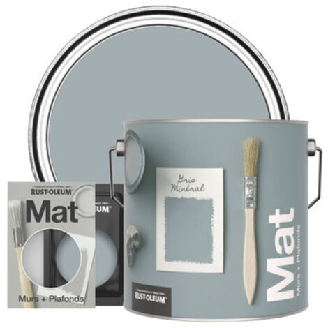 Peinture Murale Lessivable - Gris Minéral (1/3)