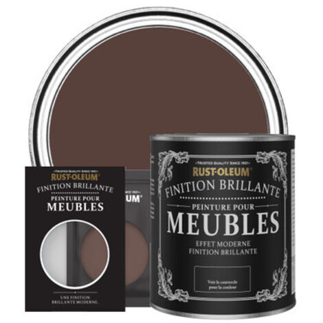 Peinture pour Meubles Brillante - Valentina (1/3)