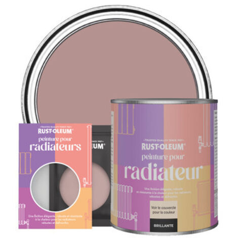 Peinture pour Radiateur, Finition Brillante - Coup de Cœur (1/3)
