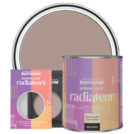 Peinture pour Radiateur, Finition Brillante - Dentelle (1/3)