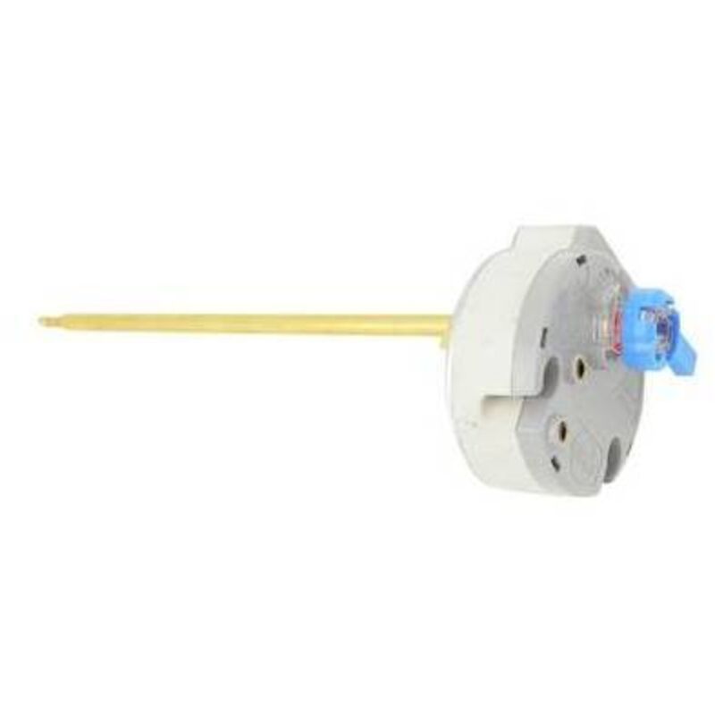Thermostat Chauffage Électrique 1KW Pour Baignoire Spa - Chauffe-Eau Portable IPX5