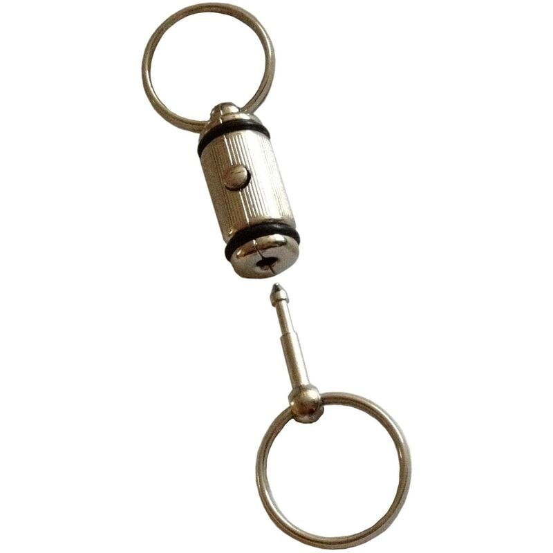 Durable 194927 KEY CLIP, Lot de 24 Porte-Clés avec Porte-Étiquette